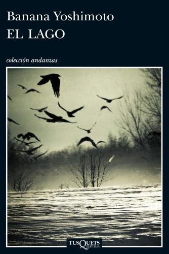 Cover for El lago