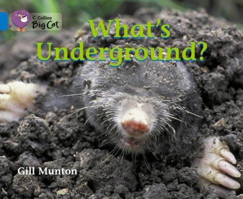 Cover for What's Underground
