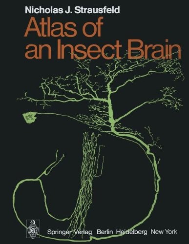 Cover for Atlas of an Insect Brain