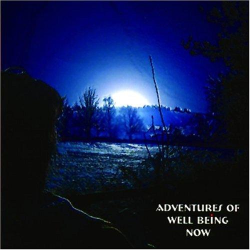 Cover for Adventures of Well Being Now