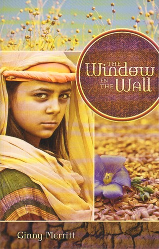 Cover for The Window in the Wall