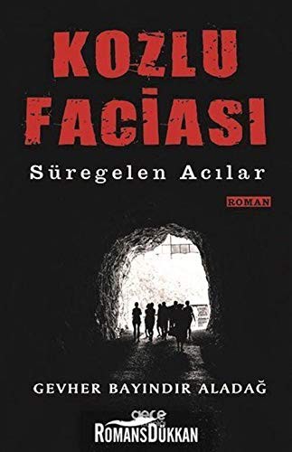Cover for Kozlu Faciasi; Süregelen Acilar