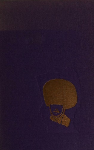 Cover for Napoleon's Viceroy