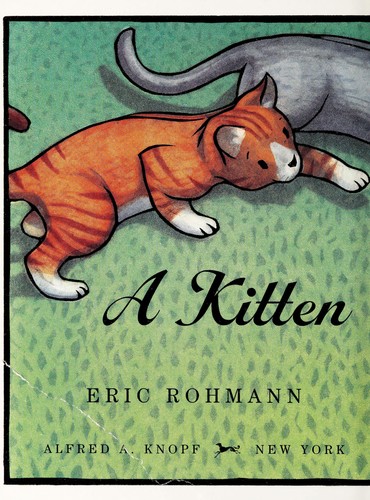 Cover for A kitten tale