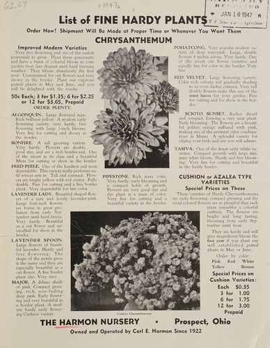 Cover for List of fine hardy plants, chrysanthemum