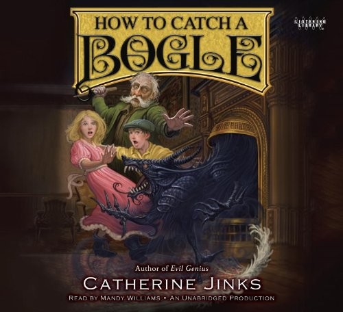 Cover for How to catch a bogle