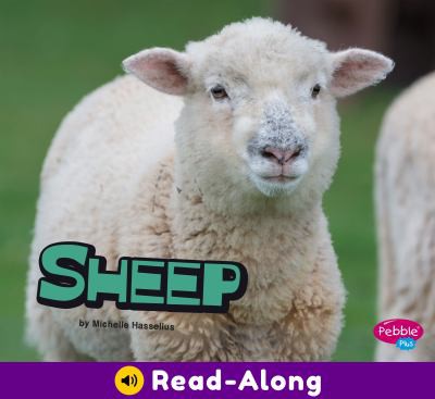 Cover for Sheep