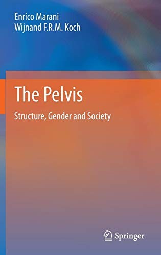 Cover for The Pelvis