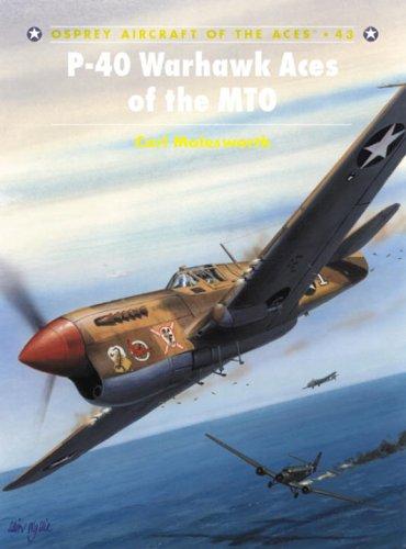 Cover for P-40 Warhawk Aces of the MTO
