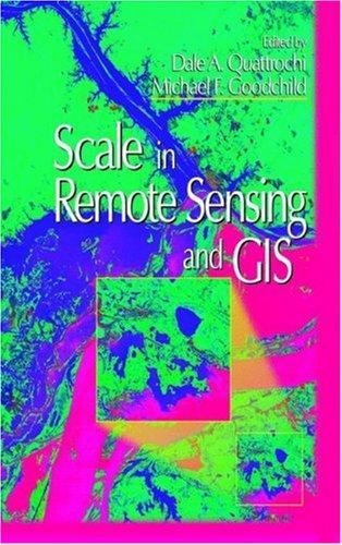 Cover for Scale in remote sensing and GIS