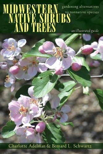 Cover for Midwestern Native Shrubs and Trees : Gardening Alternatives to Nonnative Species