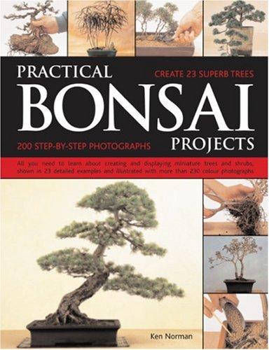 Cover for Practical Bonsai Projects: Create 20 Superb Trees Step-by-Step