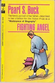 Cover for Fighting angel