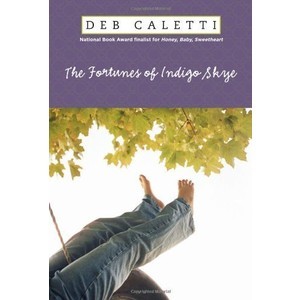 Cover for Fortunes of INdigo Skye