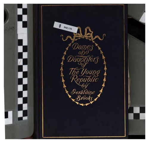 Cover for Dames and Daughters of the Young Republic