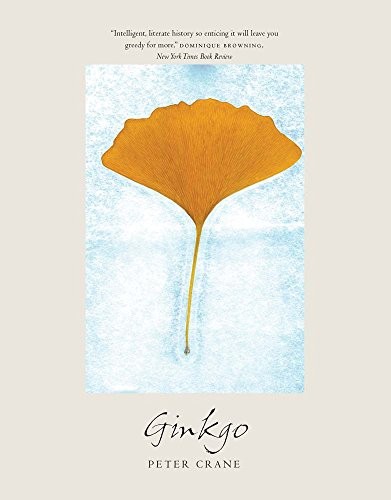Cover for Ginkgo