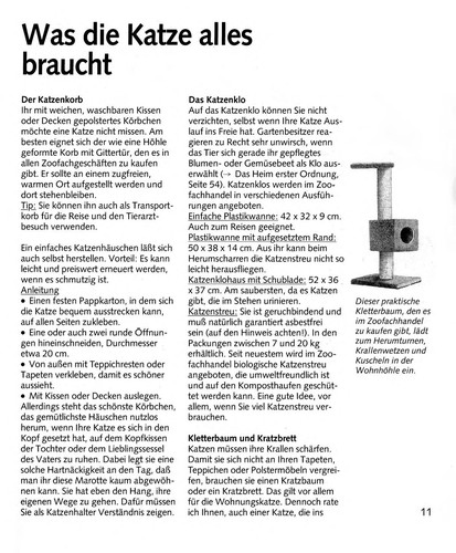 Cover for Die Wohnungskatze richtig pflegen und verstehen