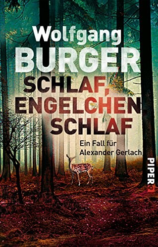 Cover for Schlaf, Engelchen, schlaf