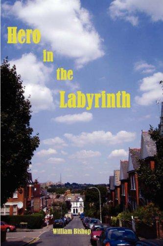 Cover for Hero in the Labyrinth