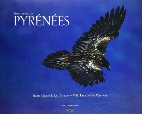 Cover for Faune sauvage des Pyrénées
