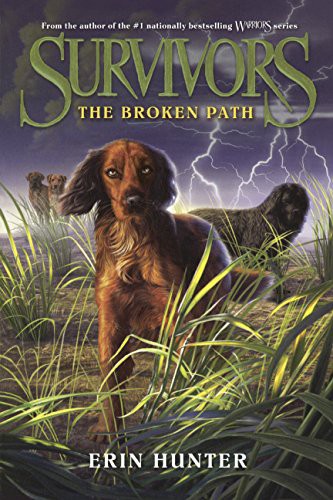 Cover for The Broken Path