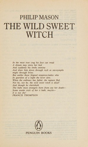 Cover for The wild sweet witch