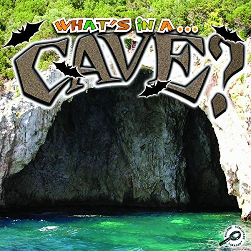 Cover for Cave