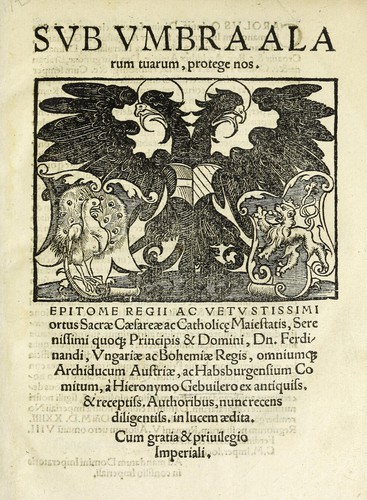 Cover for Epitome regii ac vetvstissimi ortus sacrae caesarae ac Catholic̜e maiestatis, serenissimi quoq[ue] principis & domini, Dn. Ferdinandi, Vngariae ac Bohemiae regis, omniumq[ue] archiducum Austriae, ac Habsburgensium comitum