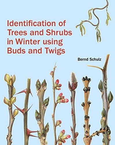 Cover for Identification of Trees and Shrubs in Winter Using Buds and Twigs
