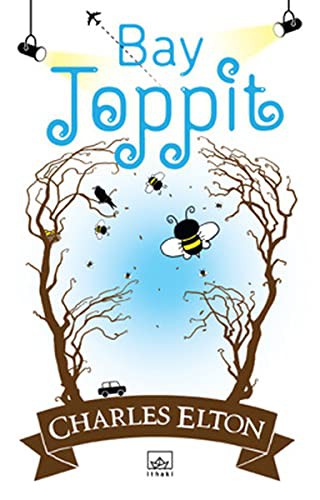 Cover for Bay Toppit