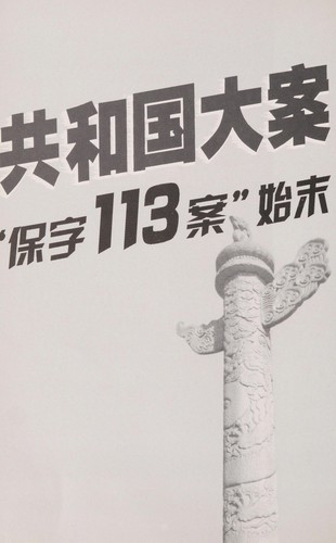 Cover for Fei zei duan yun peng luo wang ji