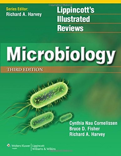 Cover for Lippincott Illustrated Reviews Flash Cards
