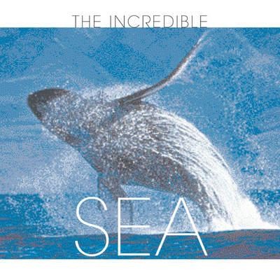 Cover for The Incredible Sea