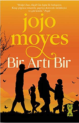Cover for Bir Arti Bir