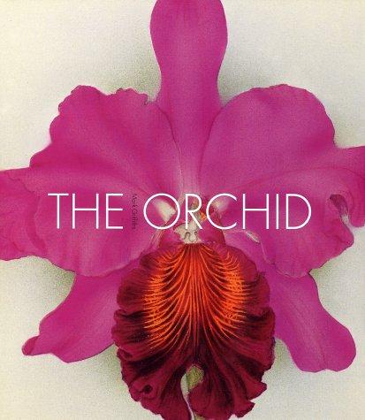 Cover for Orchids
