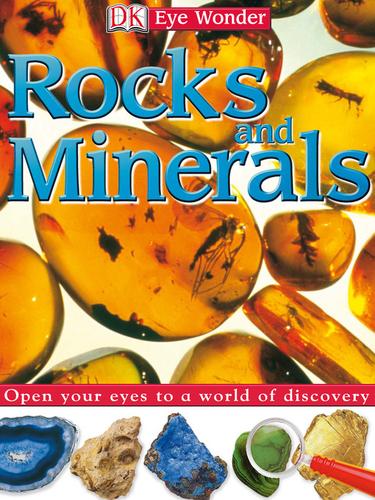 Cover for Rocks & Minerals