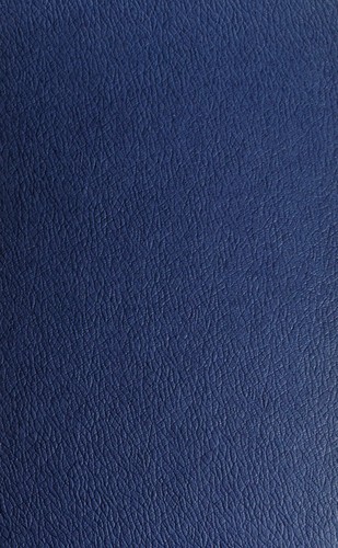 Cover for The payment of the general practitioner