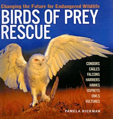 Cover for Birds of Prey Rescue