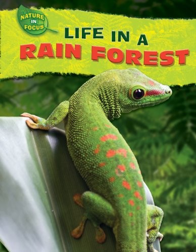 Cover for Life in a rain forest
