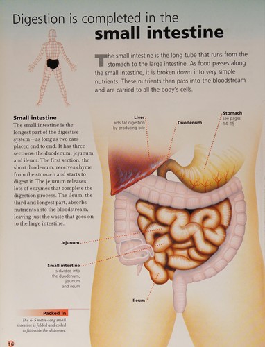 Cover for Digesting food
