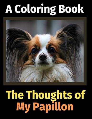 Cover for The Reflections of My Papillon