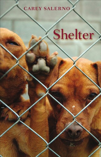 Cover for Shelter