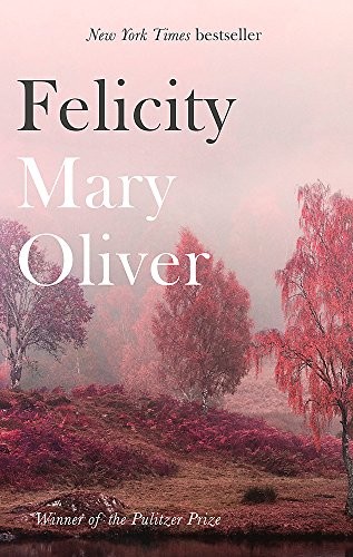 Cover for Felicity