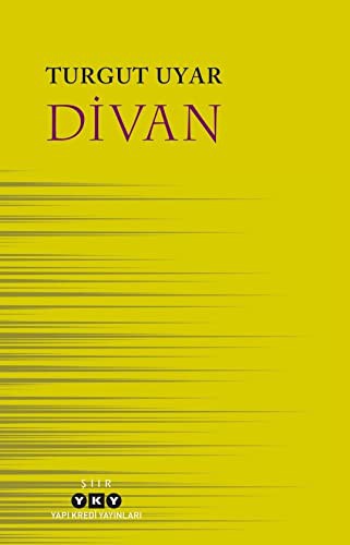 Cover for Divan
