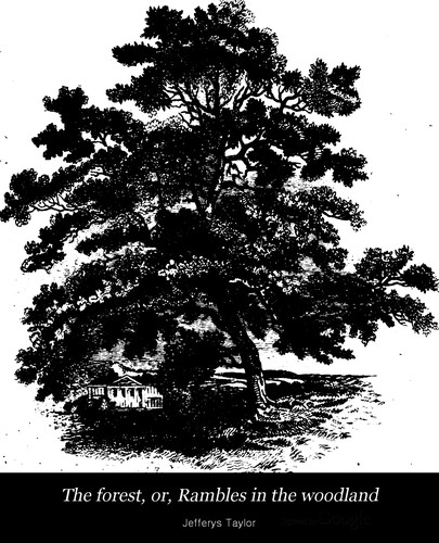 Cover for The forest, or, Rambles in the woodland
