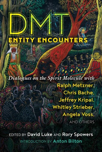 Cover for DMT Entity Encounters