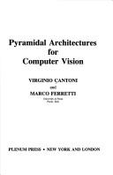 Cover for Pyramidal architectures for computer vision