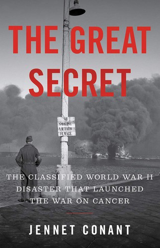 Cover for The Great Secret