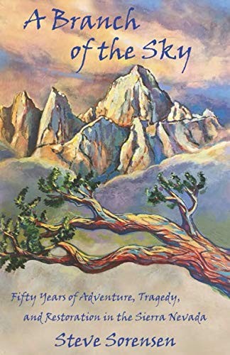 Cover for A Branch of The Sky