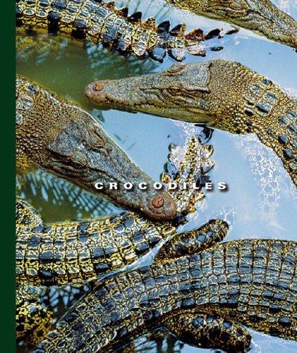 Cover for Crocodiles